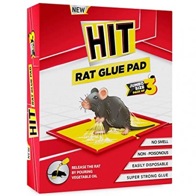 Rat Pad Small Mouse Glue